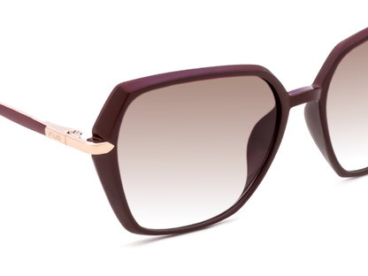 IRUS Standard Color Full-Rimmed Eyeglasses - Unisex