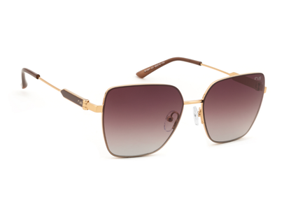 IRUS Standard Color Full-Rimmed Eyeglasses - Unisex