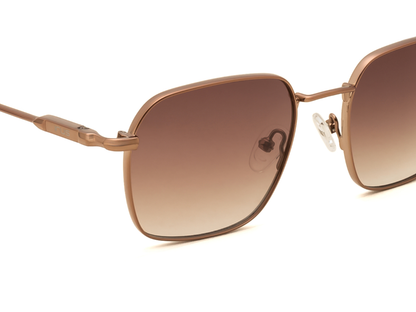IRUS Standard Color Full-Rimmed Eyeglasses - Unisex