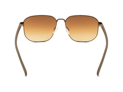 IRUS Standard Color Full-Rimmed Eyeglasses - Unisex