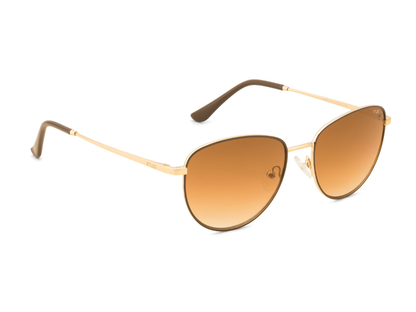 IRUS Standard Color Full-Rimmed Eyeglasses - Unisex